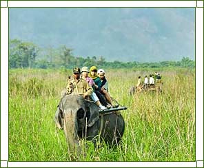 Golaghat Excursions