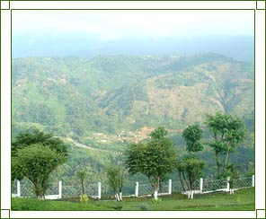 Haflong