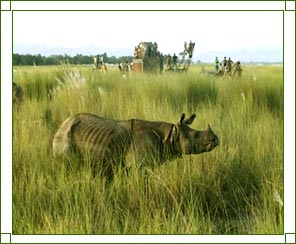 Tezpur Excursions
