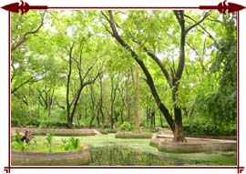 Deer Park Delhi