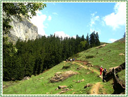 Best Time to Visit
