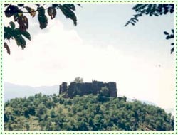 Bilaspur Tourist Attractions