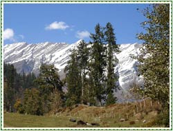 Shimla