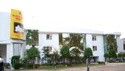 Black Mango Resort