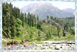 Daksum Travel in Kashmir
