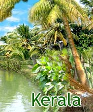 Kerala Beach