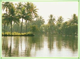 Calicut Backwaters