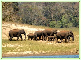 Idukki Wildlife Sanctuary Kerala