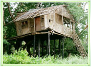 Tree House in Kerala