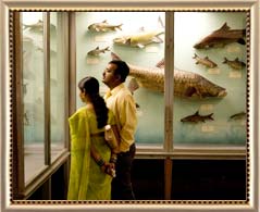 Bombay Natural History Museum