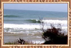 Konark Beach