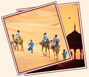 Rajasthan Desert