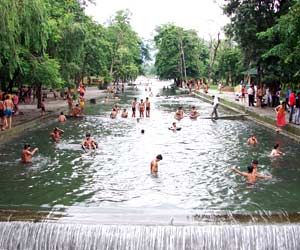 Guchhupani, Dehradun