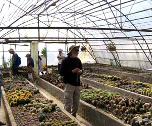 Flower Nurseries